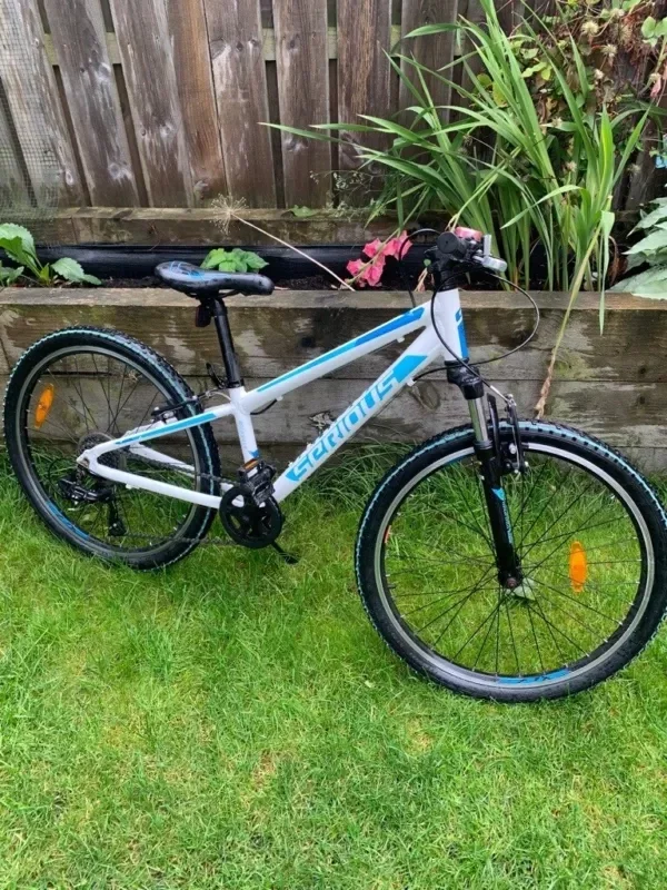 Boys second bike